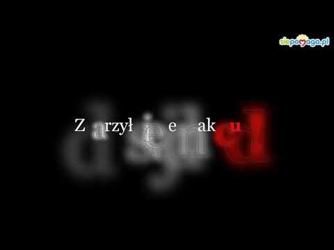 Obrazek poglądowy filmu YouTube