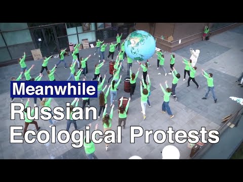 Qual &egrave; lo stato di salute dell&rsquo;ambiente in Russia dopo quasi 4 anni di guerra -