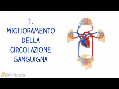 Prezzemolo lascia la prostata Quali sensazioni nel cancro alla prostata