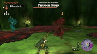Phantom Ganon Deku Tree boss fight: Zelda Tears of The Kingdom