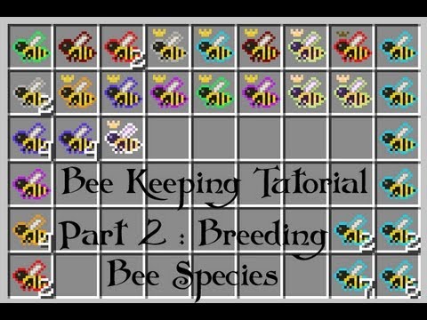 FTB - Forestry Bee Keeping Guide : Part 2 Breeding