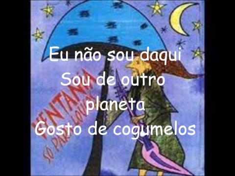 Ventania - Cogumelo azul