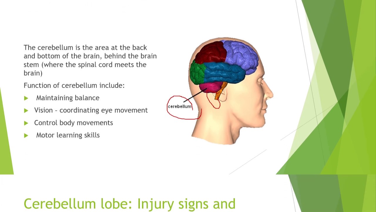 Traumatic Brain Injury PowerPoint Presentation (2020) by S. Imbori
