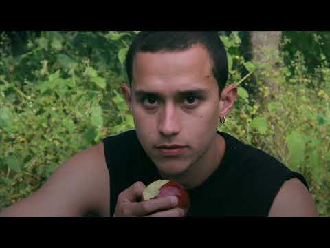 VELOCIRAPTOR TRAILER