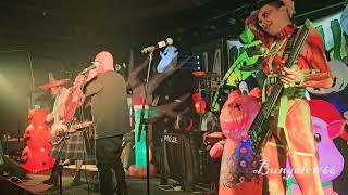 Green Jelly at The 44 Sports & Grill Nigthlife 03/17/2024