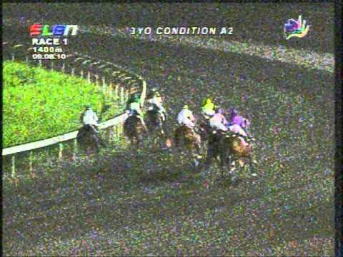 Mt Panamao R1 : sept 8/10 : Phf