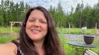 IBC TOTE CREATIVITY - DRIVING MISS DAISY - GOAT SHENANIGANS - LOTS OF FUN - HOMESTEADING ALASKA