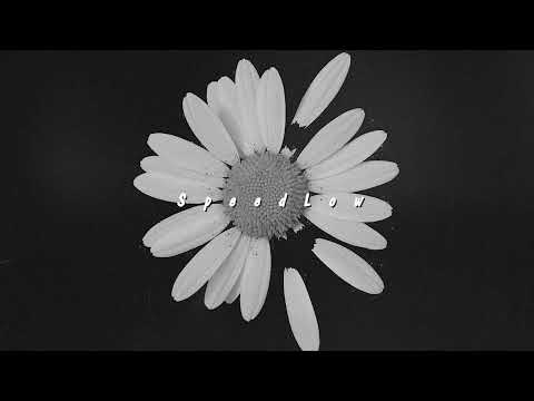 HammAli & Navai, Loc-Dog - Лепесток (Slowed)