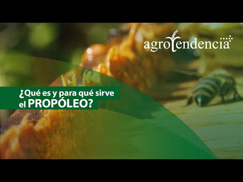 , title : '¿Cómo obtener el PROPÓLEO? ¿Para que sirve y cómo se produce?'