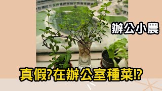 [問卦] 上班種菜很悠閒嗎？