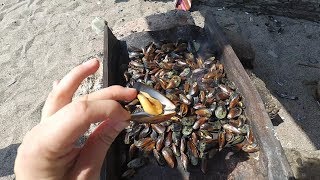 Ловили мидии в абхазии