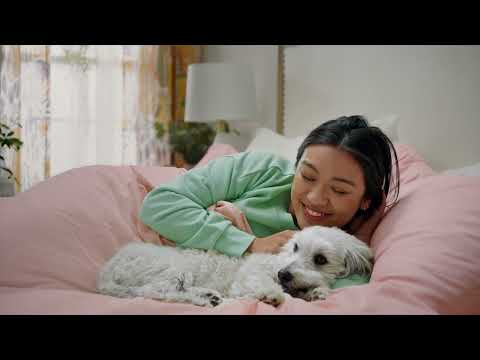 Halo Elevate Dog Food (15 seconds) 2022