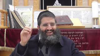 הרב אופיר טנג'י - "חביב אדם שנברא בצלם" - פרקי אבות פרק ג משנה יד (שיעור 38) - חלק א