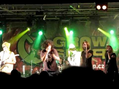 "Sexy sexy - Miss independent riddim" King Kalabash & U-Cee and Riddimshot at Reggae Meeting 2010