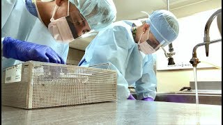 Sterile Processing