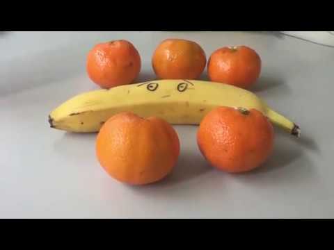 Harry Werner - Wer hat dem Affen den Popo rasiert?