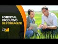 Curso Administração da Pequena Empresa Rural