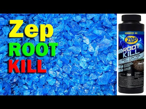 Zep Root Kill REVIEW