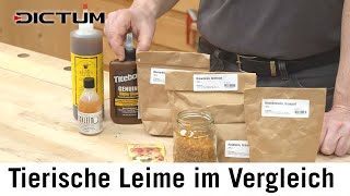 Tierische Leime - Knochenleim, Hautleim, Fischleim - flüssige Leime vs. Granulate #dictum