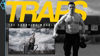 Build Massive, Functional Traps: Most Effective Strategies
