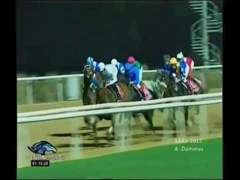 Dubai World Cup 2009 - WELL ARMED