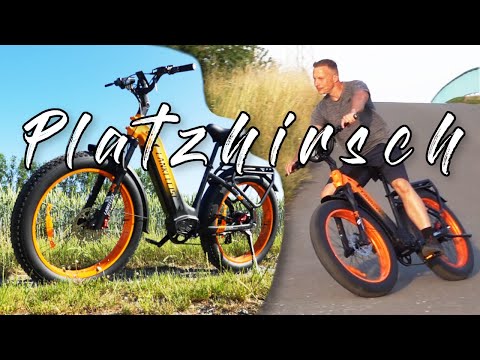 Lankeleisi MG600plus2025, the current top dog among fat bikes?