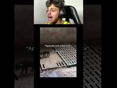 até natureza tá fazendo bullin 😂