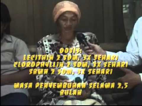 Ulasan yang telah kehilangan berat badan pada diet dari Pierre Ducane Bagaimana menghitung zona pembakaran lemak