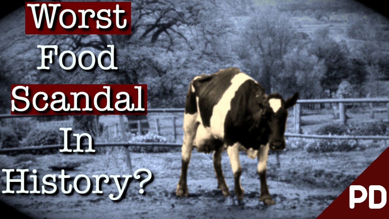 20 Years of Lies: The Mad Cow BSE Scandal | Plainly Difficult Documentary