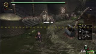 【MHF-Z】砦の下のルコ！【エイプリルフールクエスト？】