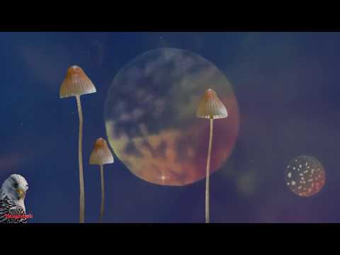 Hallucinogen In Dub Live