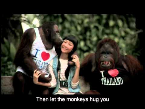 Autoridade de Turismo da Tailândia