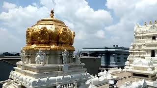 Temple video