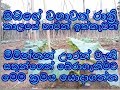 Wagawa Sathungen Hani Wenawada වගාවට සතුන්ගෙන් හානි වෙනව