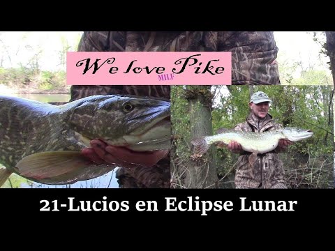 WLP 21:"Lucios durante un Eclipse Lunar"