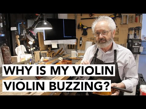 Buzzing and Buzz Prevention for Violin, Viola, Cello & Bass