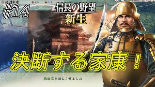 【信長の野望新生】兵は詭道なり！良好だった織田とは手を切り新たなる道を切り開く家康！そしてお市様への思い！ｗｗ#14【上級】