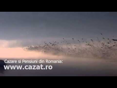 Cazare Golenti, Dolj - Cazat.ro