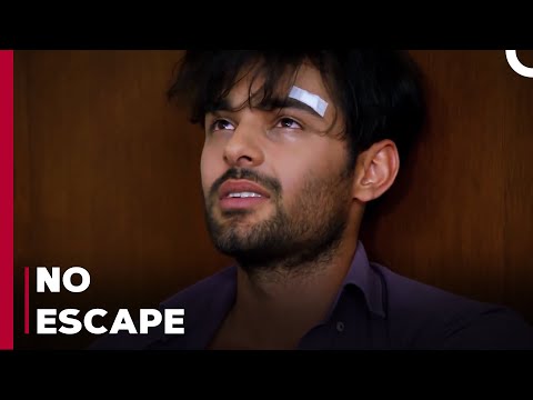 Adnan Locks Yağız In The House - Can't Stop Loving You