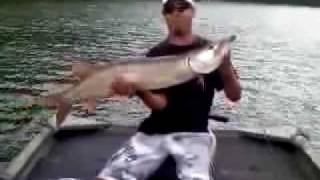 preview picture of video 'Skie Patroll.. 41 inch muskie ..'