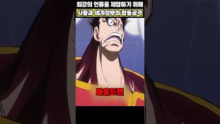 🔥미친 작화🔥사황과 세계정부의 합동공격