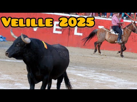 Velille Chumbivilcas bullfight | full video