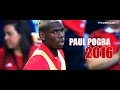 Paul Pogba - Crazy Skills, Passes & Goal 2016-2017 HD