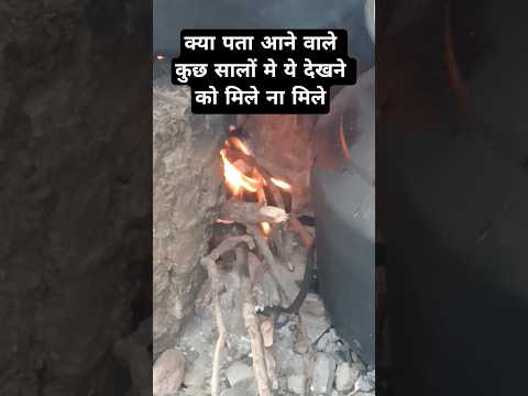 क्या पता आने वाले कुछ सालों मे ये देखने को मिले ना मिले #old #history#village#viral #shorts#trending