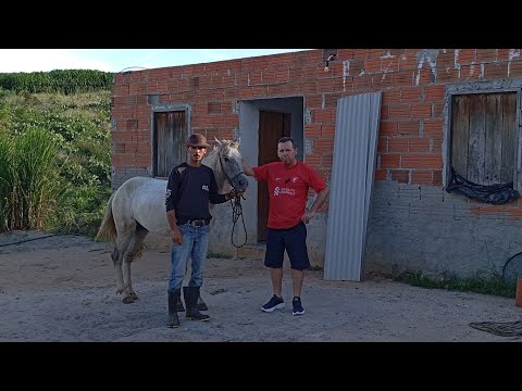 Batendo um papo com Tom Vaqueiro - Criador de conteúdo de Boa Nova-BA.