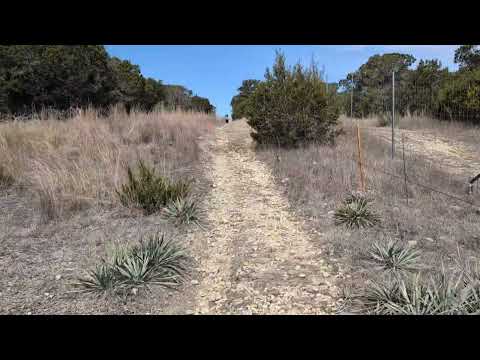 Mammoth March at Dinosaur Valley State Park 2025