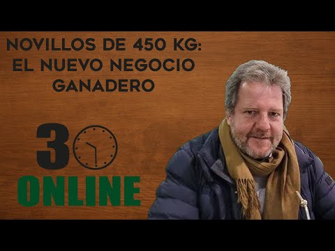450 kg steers: the new livestock business | Juan Pedro Colombo | #30online