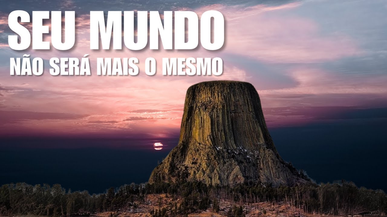 AS COLOSSAIS ÁRVORES DE SILÍCIO PETRIFICADAS, ONDE ESTÃO AGORA?