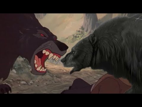 Bear vs Mor’du