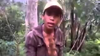 Download lagu Lucu banget dech nyesel kalau gak nonton mp3 Download lagu Lucu banget dech nyesel kalau gak nonton mp3